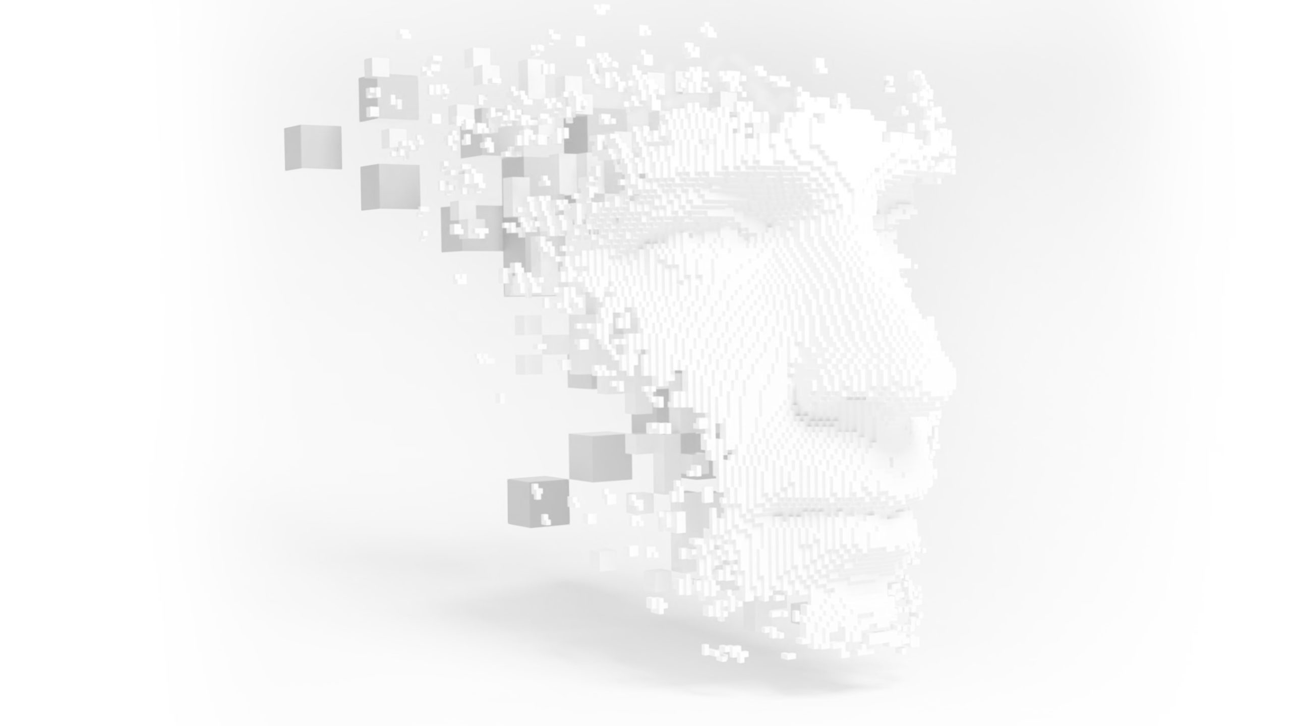 About Us – YM11 Solutions
